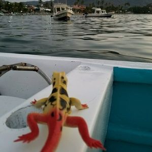 Meet your Posher, Brett